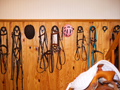 Climate Controlled Tack Room